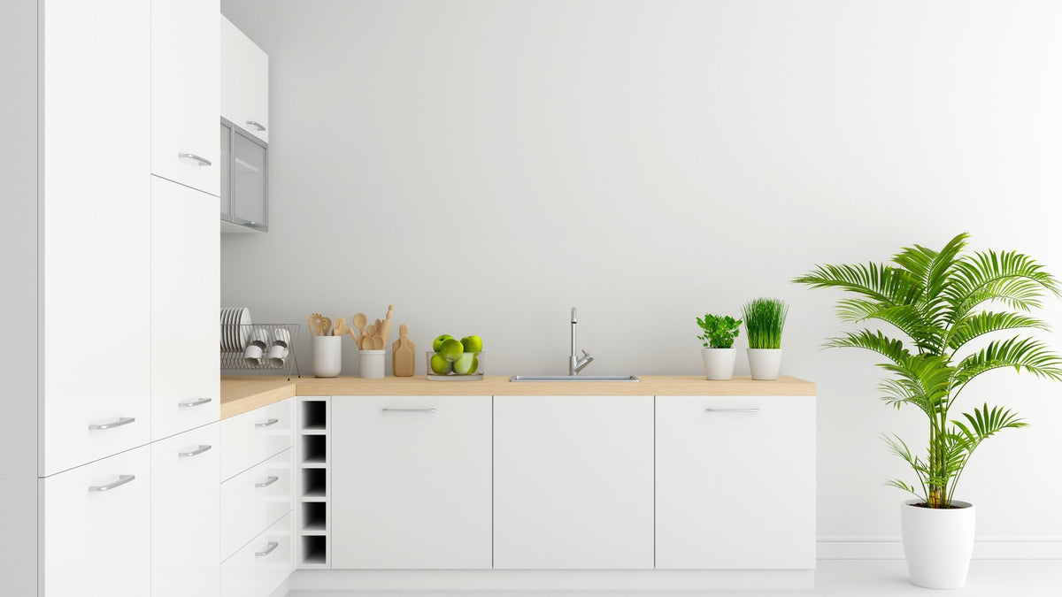 Mastering Kitchen Mastery