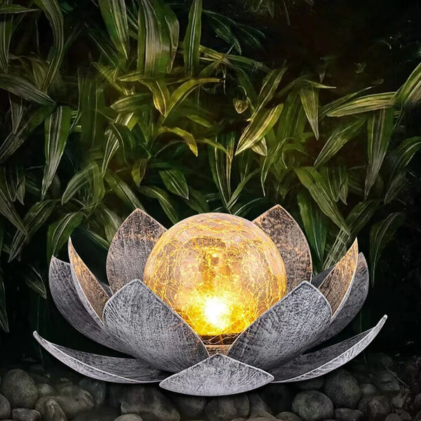 Outdoor Garden Solar Lights