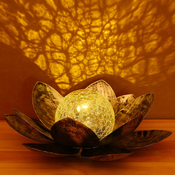 Outdoor Garden Solar Lights